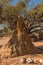 Bush landscape with a large termite mound, Namibia