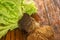 Bush lettuce with a root system and the soil on wooden background