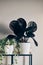 Bush rose calathea medallion in a pot on a shelf