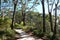 Bush track through Jervis Bay National Park Australia