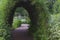 Bush tunnel in a park