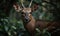 Bushbuck in the Wild A Hyperrealistic Portrait of Natures Beauty. Generative AI