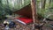 Bushcraft Tarp Shelter Camp. Wilderness Forest Bushcraft campsite. Survival Shelter