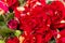 Bushed red roses background