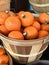Bushel Basket of Pumpkins