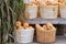 Bushel baskets of butternut squash