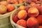 Bushel Baskets of Fresh Peaches