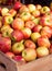 Bushel baskets of Honeycrisp apples at a local market