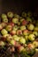 Bushel of freshly picked apples on display at county fair in fall
