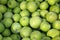 Bushel of Green Apples