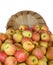 Bushel of Organic Fuji Apples