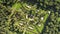 Bushes maze in formal garden aerial top view at sunny day