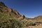 Bushes and plants in foreground and volcano stone and lava in b