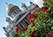 Bushes of red roses on the background of St. Isaac`s Cathedral in St. Petersburg on a Sunny summer day