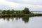 Bushes reflectin in still water of Myvatn lake, Iceland