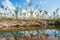 Bushes reflection at Giddy river of Gove Peninsula, Northern Territory state of Australia.