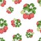 Bushes and shrubs of forest and garden berry raspberry, seamless vector background