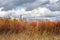 Bushes and Shrubs with Red Foliage on Manufacturing Plant Background at Overcast Day