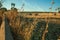 Bushes and stone wall next to bales of hay in a farm