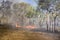 Bushfire in the australian outback