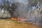 Bushfire in the australian outback