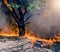 A bushfire burning orange and red at night