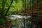 Bushkill Creel above the main falls