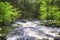 Bushkill falls scenic area and trail