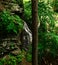 Bushkill Waterfall in Lehman township