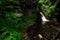 Bushkill Waterfalls in a forest in Lehman township