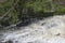 Bushkills fall scenic area waterfall