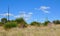 Bushland Landscape with Grasstrees in Western Australia