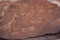 Bushman engravings at Twyfelfontein, UNESCO World Heritage site, Damaraland, Kuene Region, Namibia