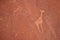 Bushmen Rock Engravings. Twyfelfontein