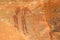 Bushmen rock painting