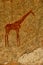 Bushmen rock painting of human figures and antelopes, giraffe of the Matopos National Park, Zimbabwe
