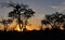 Bushveld Sunset, Zimbabwe