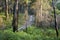 Bushwalking in Booderee National Park. NSW. Australia