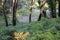 Bushwalking in Booderee National Park. NSW. Australia