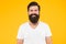 Bushy beard hipster man barbershop client yellow background, good looking guy concept