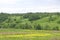 Bushy hillsides and floodplains in the Nara River floodplain near Moscow, June 2021