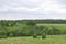 Bushy hillsides and floodplains in the Nara River floodplain near Moscow, June 2021