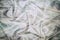 Business abstract background - banknotes of dollars close-up, scattered on wrinkled fabric