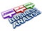 Business Analysis Function