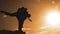 Business bankrupt crisis teamwork concept. Man businessman silhouette at sunset standing on the edge of the abyss peak