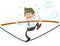 Business Buddy walks the tightrope