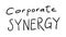 Business Buzzword: corporate synergy - vector handwritten phrase