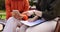 Business, closeup and women on a bench, smartphone or planning for collaboration, documents or discussion. Female