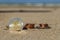 Business coins at holiday in the sand on the beach, North Sea