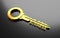 Business concept, Golden key with word business. 3D Illustration